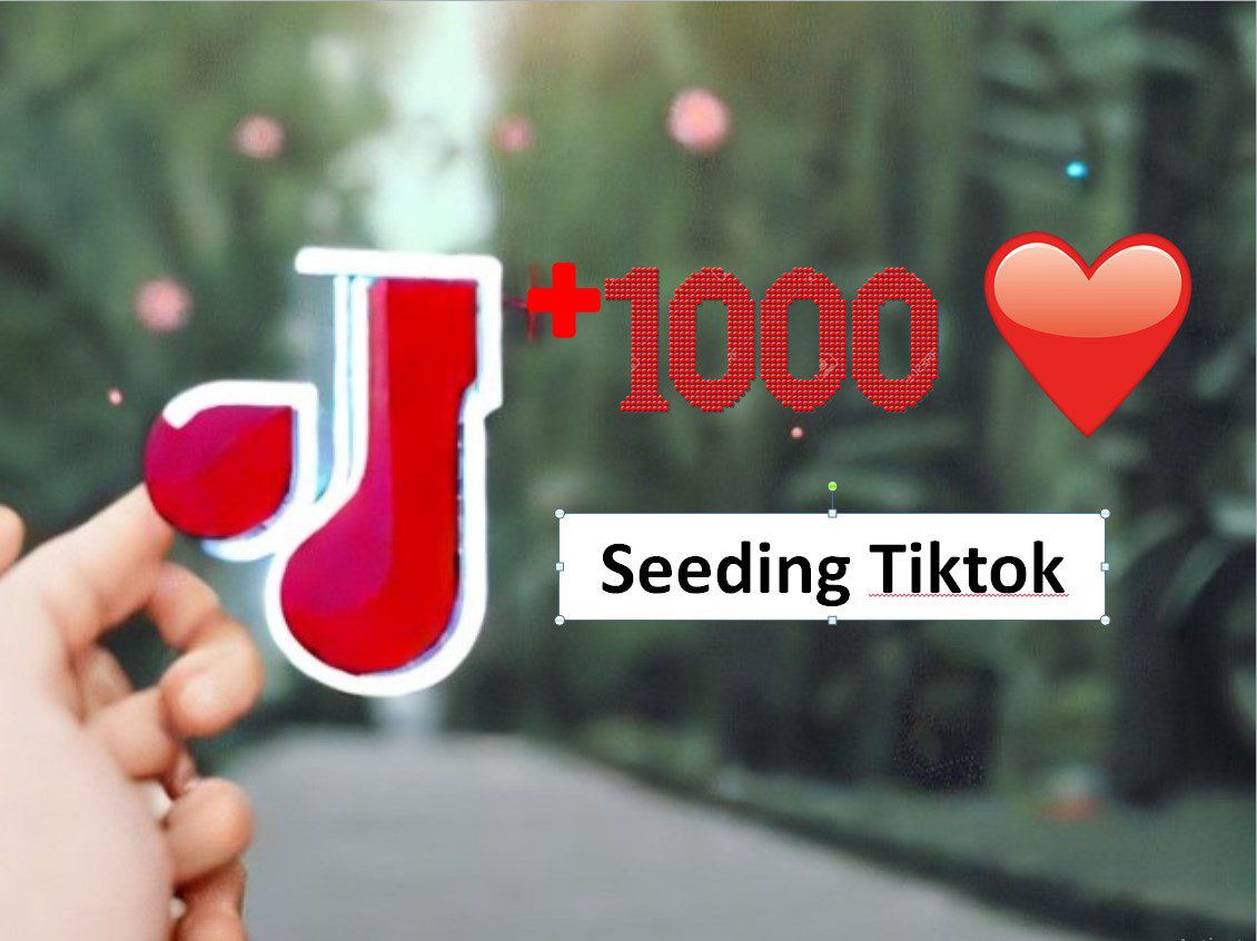 Seeding Tiktok